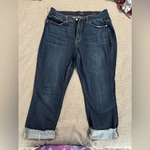 Judy Blue Skinny Fit